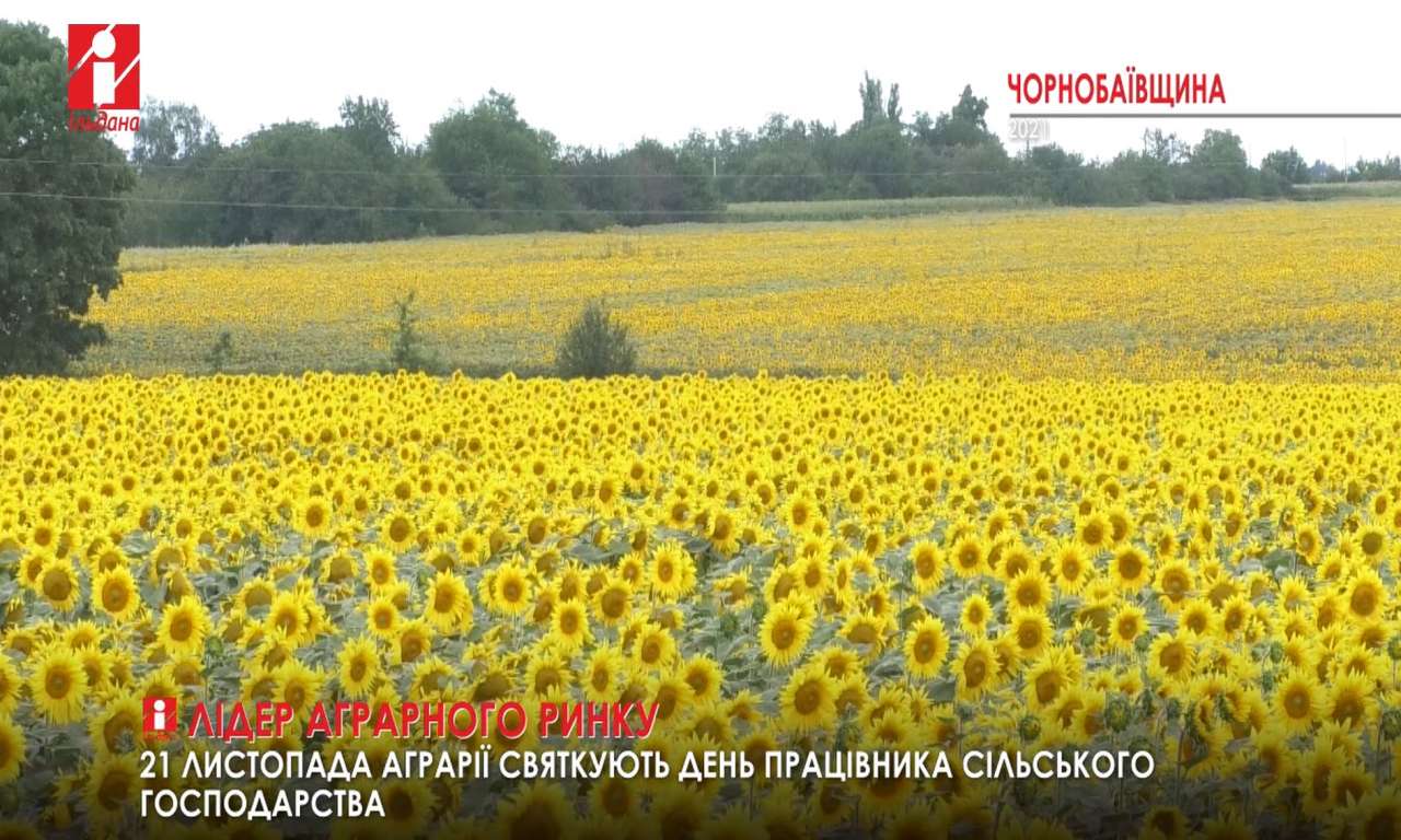 Корпорація «Дніпро» вийшла у лідери аграрної галузі України (ВІДЕО)